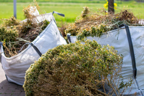 Best Electronics and E-Waste Disposal  in Valdez, AK